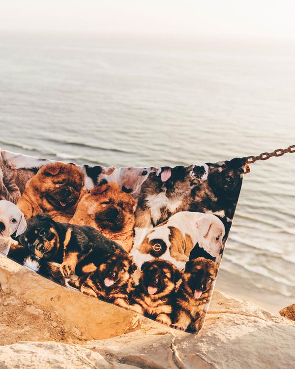 Leus Unisex Puppy Party Beach Towel