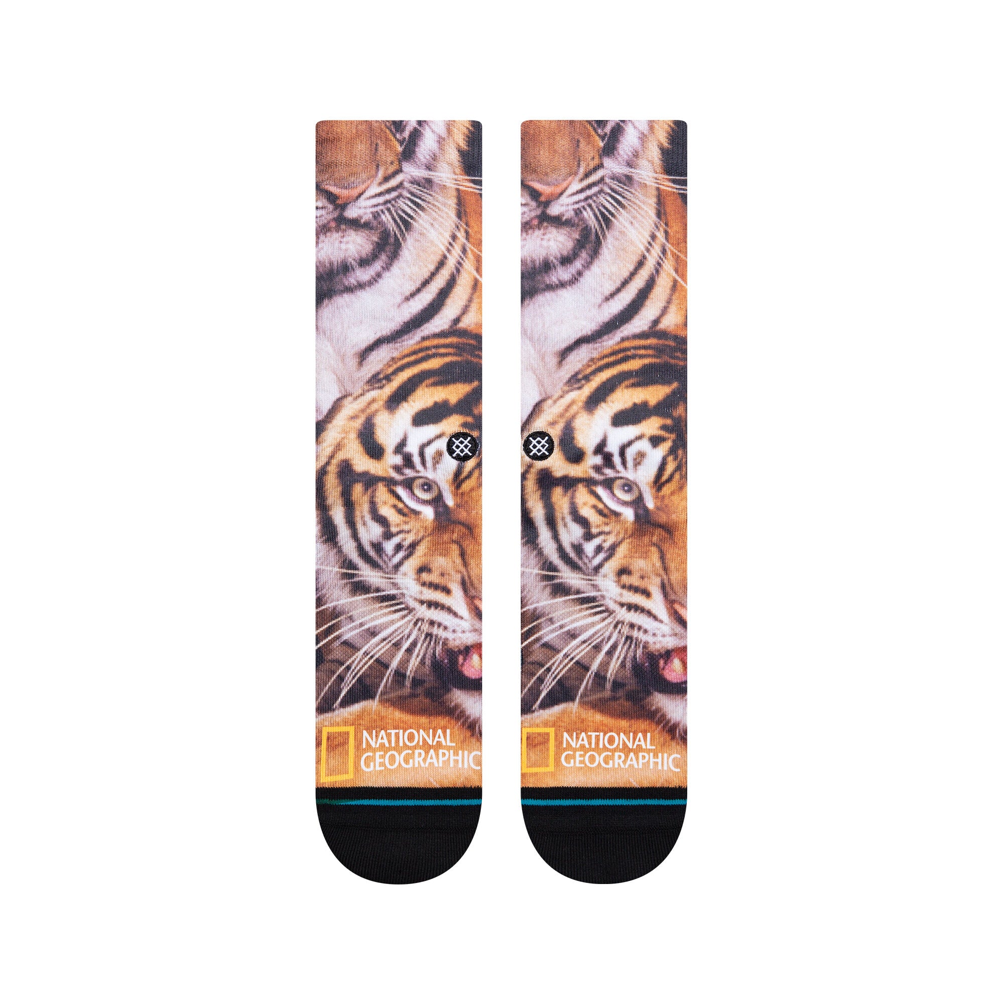 Stance Two Tigers