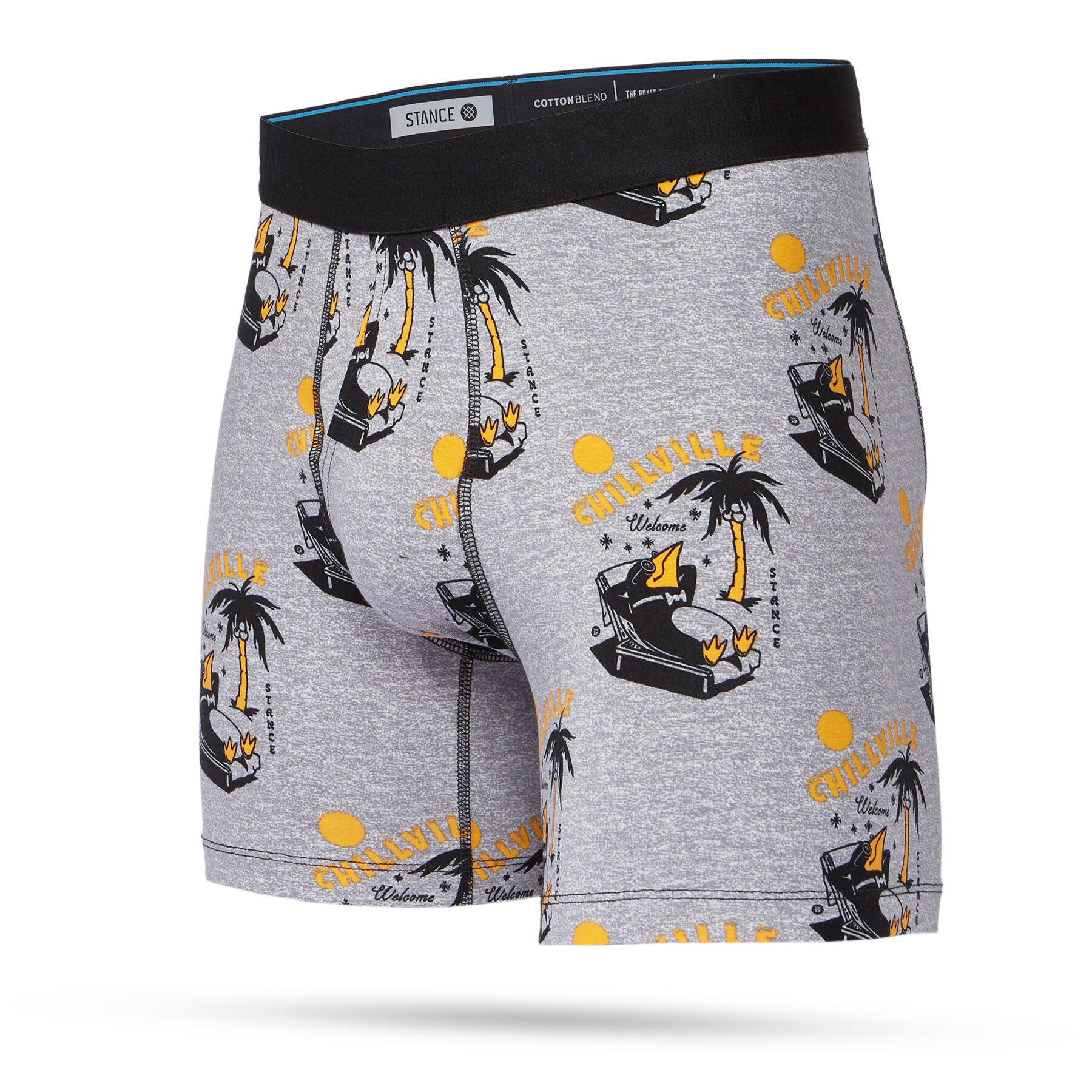 Stance Chillville Boxer Brief